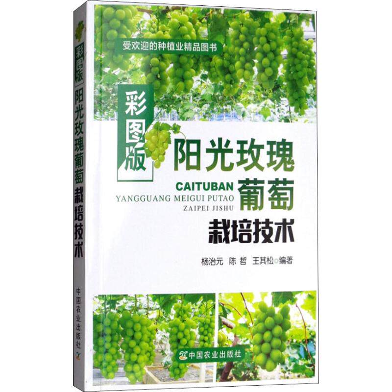 正版彩图版阳光玫瑰葡萄栽培技术