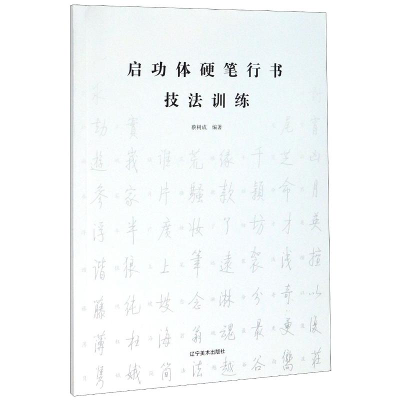 正版启功体硬笔行书技法训练
