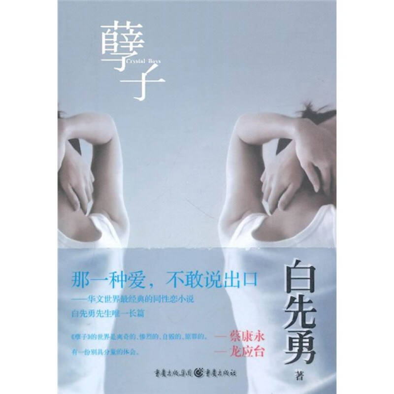 正版孽子——华文世界经典的同恋小说