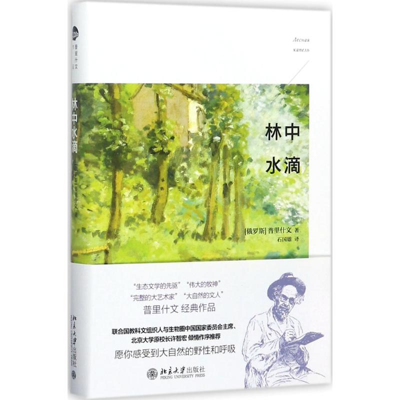 正版林中水滴
