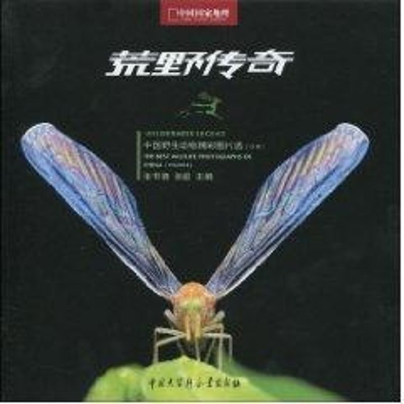 正版荒野传奇-中国野生动物精彩图片选B
