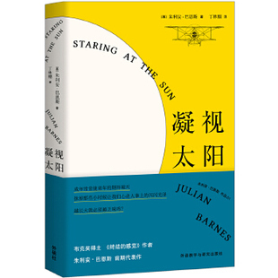 正版凝视太阳