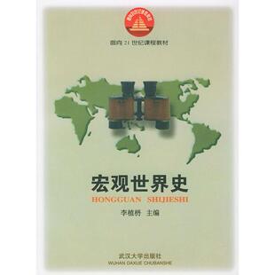 宏观世界史正版