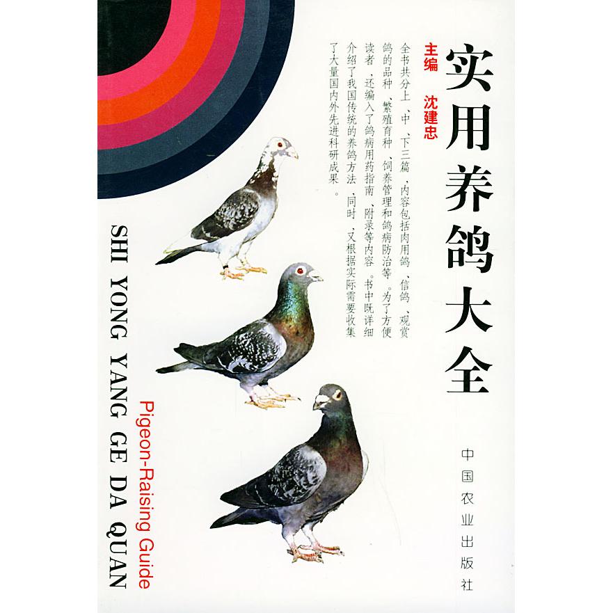 正版实用养鸽大全