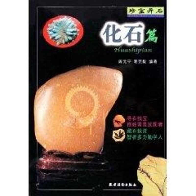 正版化石篇/珍宝异石