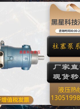 新款上海邵扬 10/16/25/40/63/80/100/160/250PCY14-1B轴向柱包邮