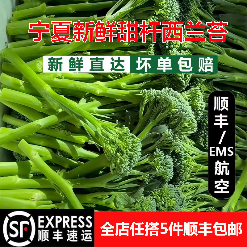 宁夏新鲜甜杆西兰苔西蓝苔手指