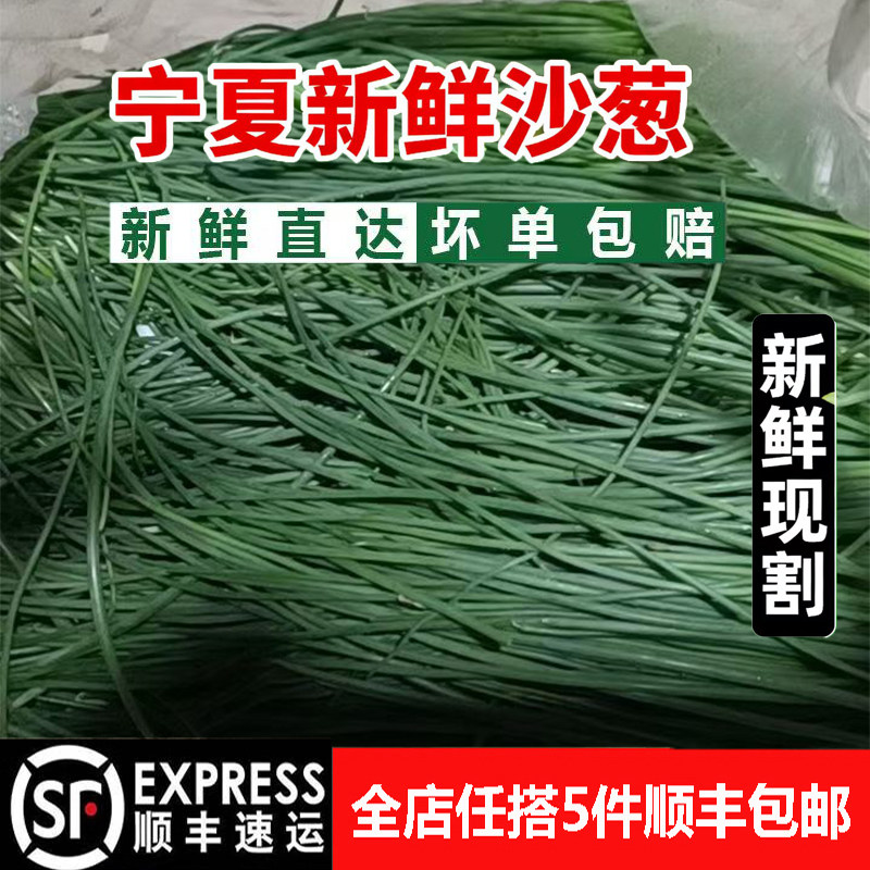 新鲜沙葱胡葱酒店饭店食材鲜凉拌
