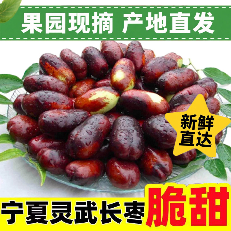 产地直发宁夏灵武长枣脆甜新鲜现摘当季水果红枣大枣孕妇枣子鲜枣