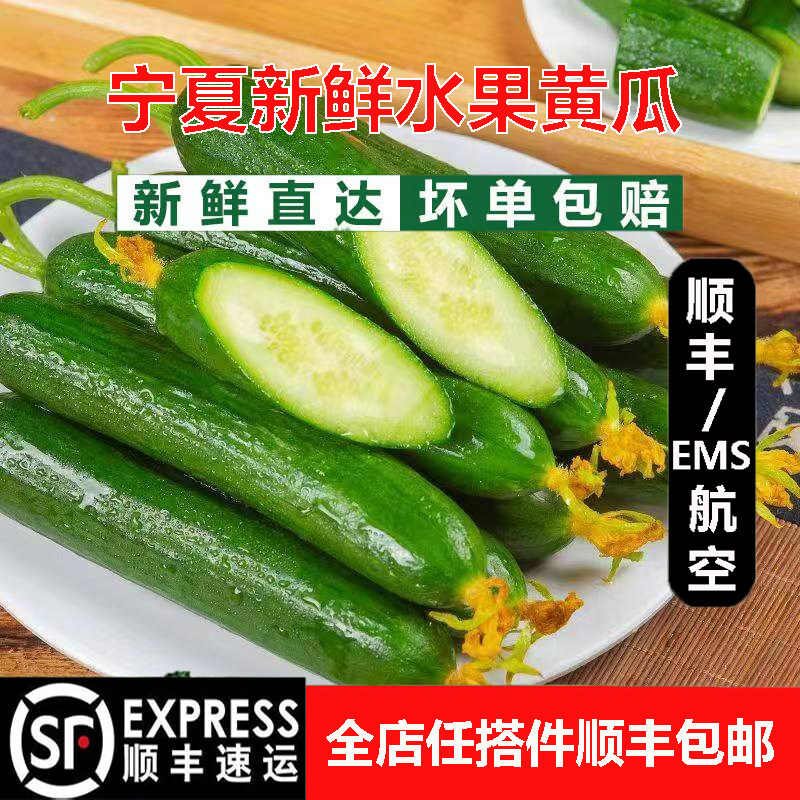 宁夏新鲜水果黄瓜无刺小黄瓜现摘农家蔬菜当季青瓜