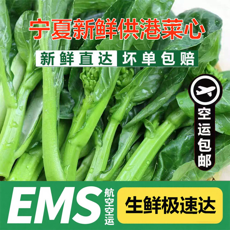 【EMS航空】宁夏新鲜菜心供港蔬菜霜打菜心农家油菜应季蔬菜新鲜