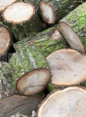 桃木雕刻木料桃树原木客厅卧室东南桃枝发簪小肥刀木雕手工原材料