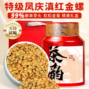 云南凤庆滇红蜜香金螺新茶特级金丝嫩芽罐装红茶叶自饮送礼口粮茶