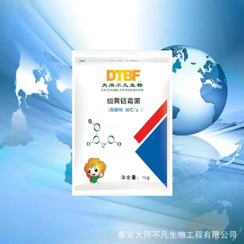 细黄链霉菌抗重茬防止死苗烂棵姜瘟防果树流胶细菌性角斑病