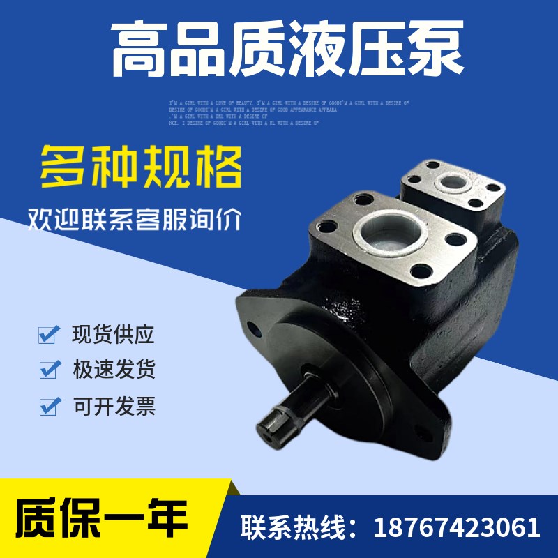 PVV2-1X/068lRA15RMB/PVV2-1X/068RJ15DM电动变量叶片泵