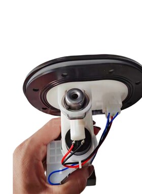 适用无极250 300RR AC隆鑫LwX300-6A C LX300GS-b汽油泵燃油泵总