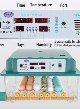 Incubator Egg Fully Automatic Brooder HatcheOry Machine Turn