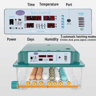 Automatic Fully Brooder HatcheOry Turn Incubator Machine Egg