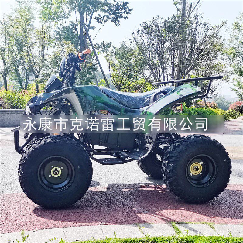 110cc125cc电动ATV沙A滩车,四轮越野车,全地形车,农夫车