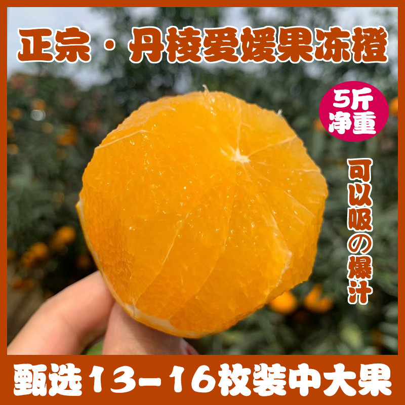 四川爱媛果冻橙38号橙子新鲜当季孕妇水果红美人柑橘10斤大果包邮