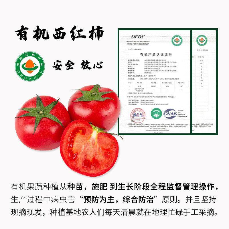 有机西红柿自然熟番茄孕妇新鲜现摘生吃沙瓤新普罗旺斯西红柿5斤