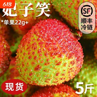 妃子笑荔枝新鲜水果当季现摘应季纯甜老树大果王顺丰整箱包邮精品