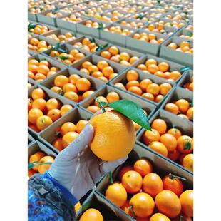 江西赣南脐橙娜家果园甜橙子新鲜水果10斤花与橙礼盒装顺丰包邮