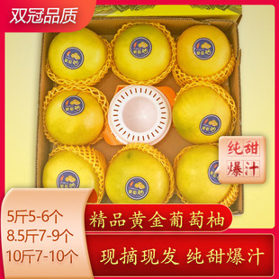 送礼佳选福建漳州黄金葡萄柚新鲜蜂蜜小柚子玲珑柚萄葡柚甜柚子