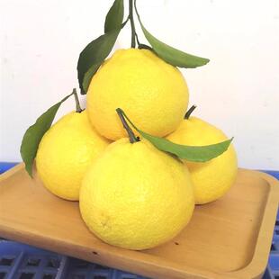 象山青美人春香柑橘甜柠檬黄金贡柚甜蜜桔孕妇新鲜水果江浙沪包邮