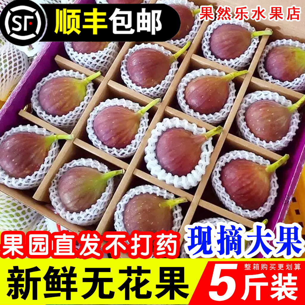 现货顺丰包邮新鲜红皮无花果5斤精选大果当季时令鲜果孕妇水果现