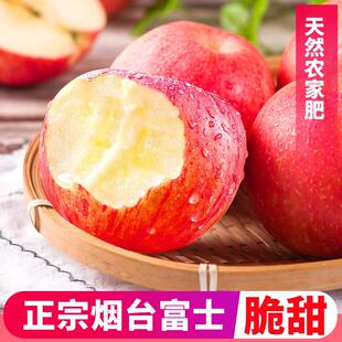 烟台红富士苹果水果5斤新鲜山东栖霞特产脆甜丑萍果当季整箱包邮