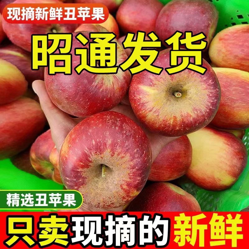 云南昭通丑苹果冰糖心新鲜水果红露脆甜当季老富士5包邮24年新果