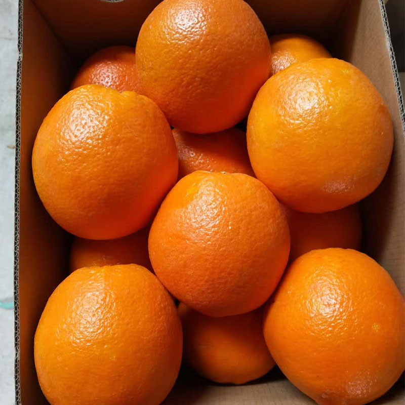 赣南脐橙5斤10斤江西赣州新鲜橙子果园直供现摘纽荷尔脐橙甜包邮