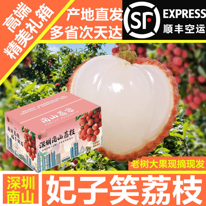 顺丰包邮深圳南山荔枝果
