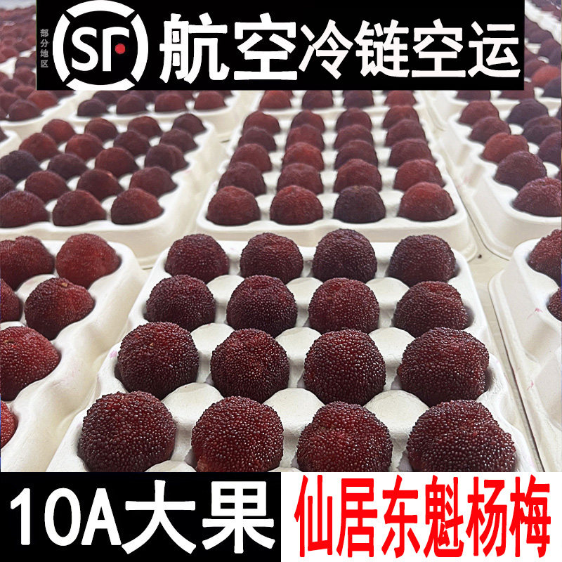 【10A】正宗浙江仙居东魁杨梅鲜果台州水果120颗当季特大杨梅鲜果