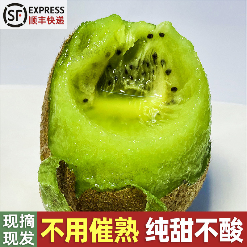 正宗陕西周至翠香猕猴桃新鲜水果绿心奇异果大果当季整箱弥猴礼盒