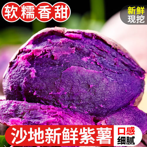 现挖沙地紫薯10斤番瓜板