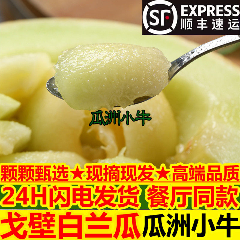戈壁白兰瓜银蒂甘肃民勤瓜州白兰瓜兰州沙漠网纹蜜瓜软糯新鲜甜瓜