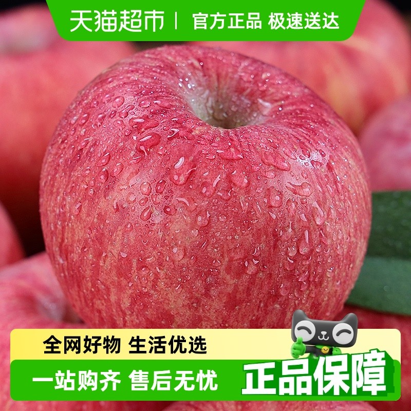 正宗陕西洛川苹果新鲜水果孕妇脆甜红富士一级果整箱延安顺丰包邮
