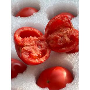 佳景新疆喀什红圣女果新鲜水果番茄酸甜多汁小西红柿绿色健康包邮