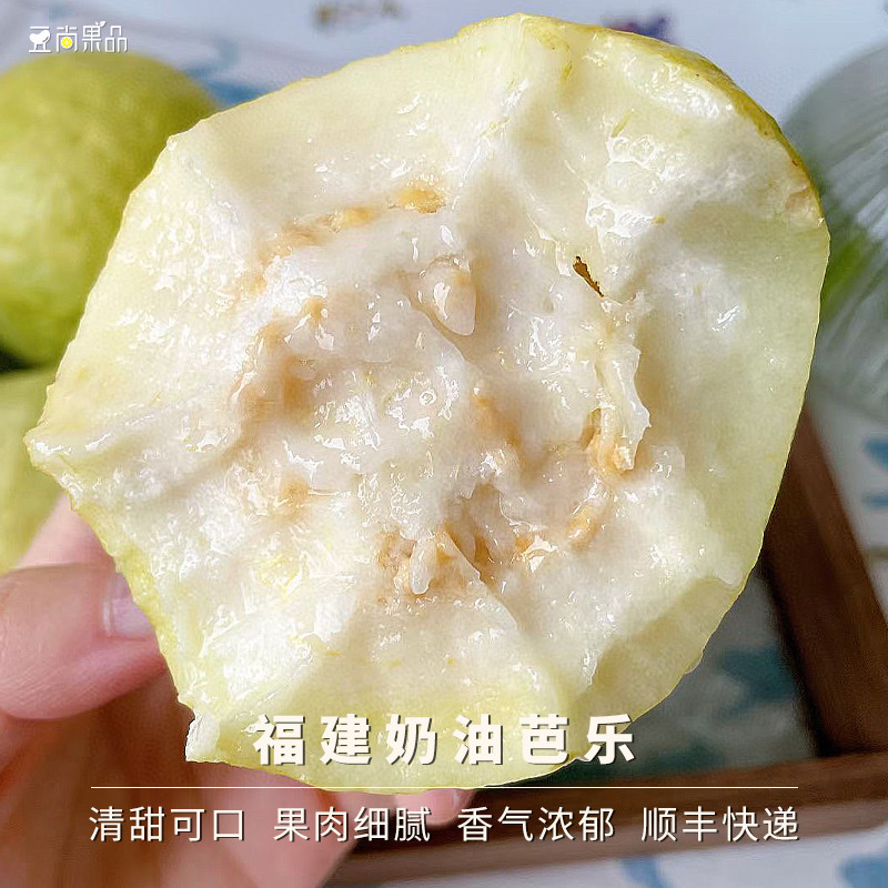 豆尚果品福建奶油芭乐清甜软糯白心热带新鲜水果番石榴大果顺丰