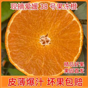现摘四川红美人柑橘丹棱爱媛38号当季新鲜水果橙子整箱果冻橙5斤