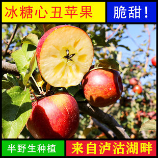冰糖心丑苹果大果大凉山泸沽湖新鲜一级精品红富士四川正宗现摘甜