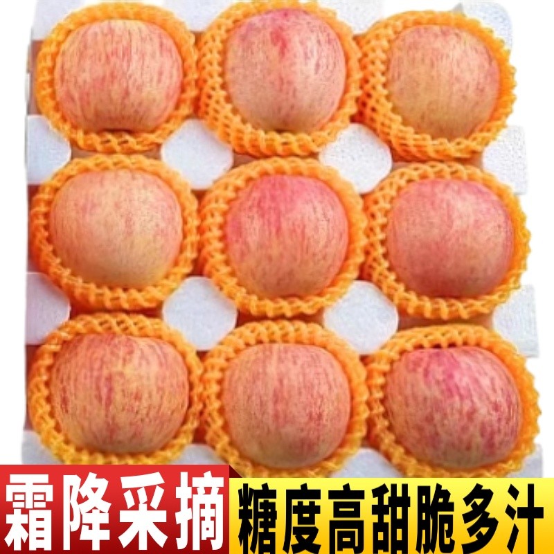 苹果新鲜水果当季整箱山东烟台红富士5/10斤冰糖心丑苹果烟台直发
