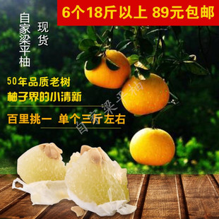 重庆特产正宗梁平柚子梁山柚50年老树农家柚子龙滩柚当季水果包邮