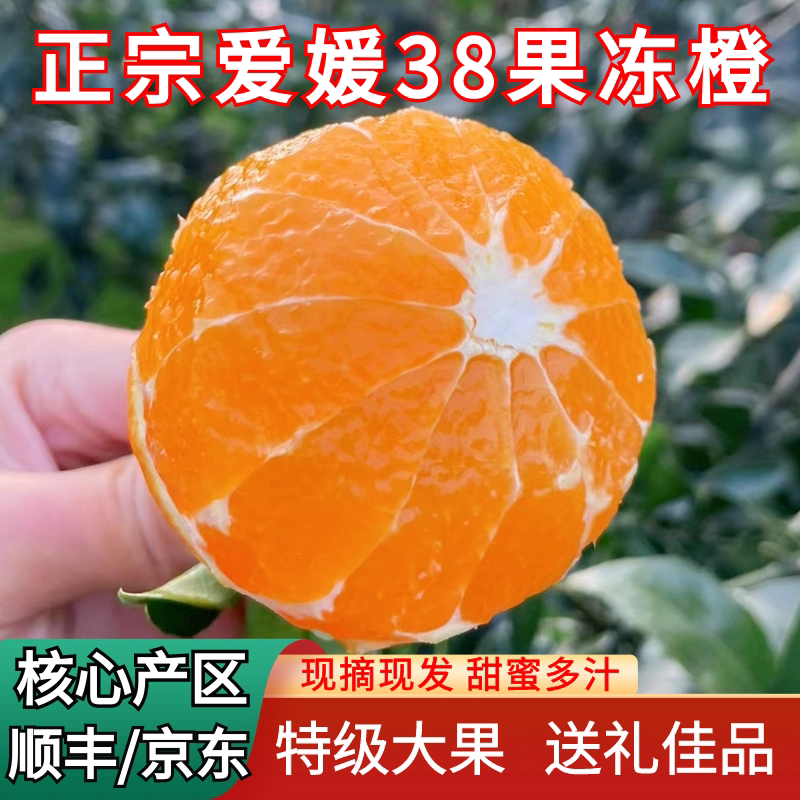 正宗眉山爱媛38号果冻橙现摘手剥橙子四川红美人新鲜特级大果包邮