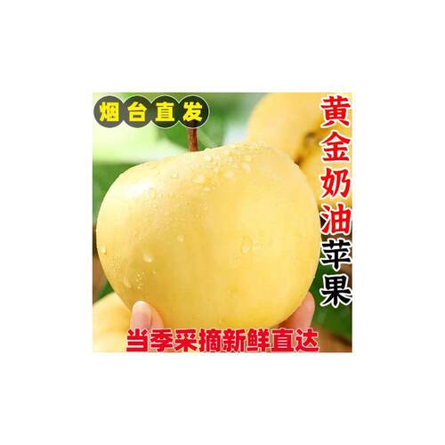 【下单立减50】山东黄金