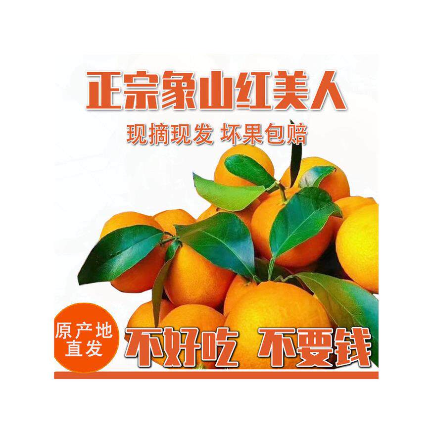正宗象山红美人柑橘爱媛28号当季现摘现发新鲜水果橘子果冻橙礼盒