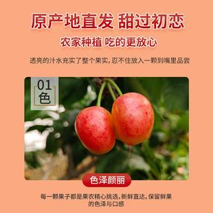 雷尼尔新鲜空运黄金车厘子纯甜整箱特级5j大连黄樱桃孕妇水果