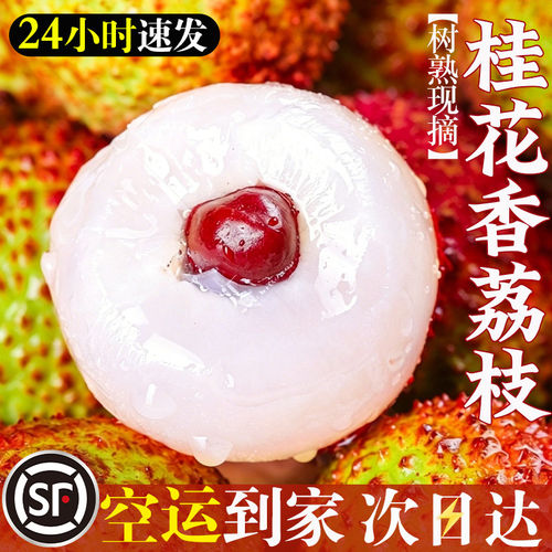 桂花香荔枝顺丰空运礼盒5